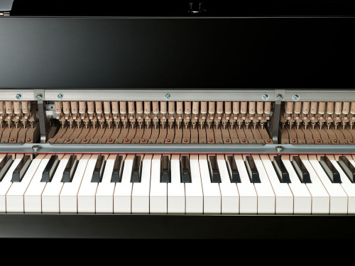 Цифровий рояль Yamaha AvantGrand N3X - JCS.UA фото 12
