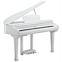Цифровой рояль Kurzweil KAG-100 WHP - JCS.UA