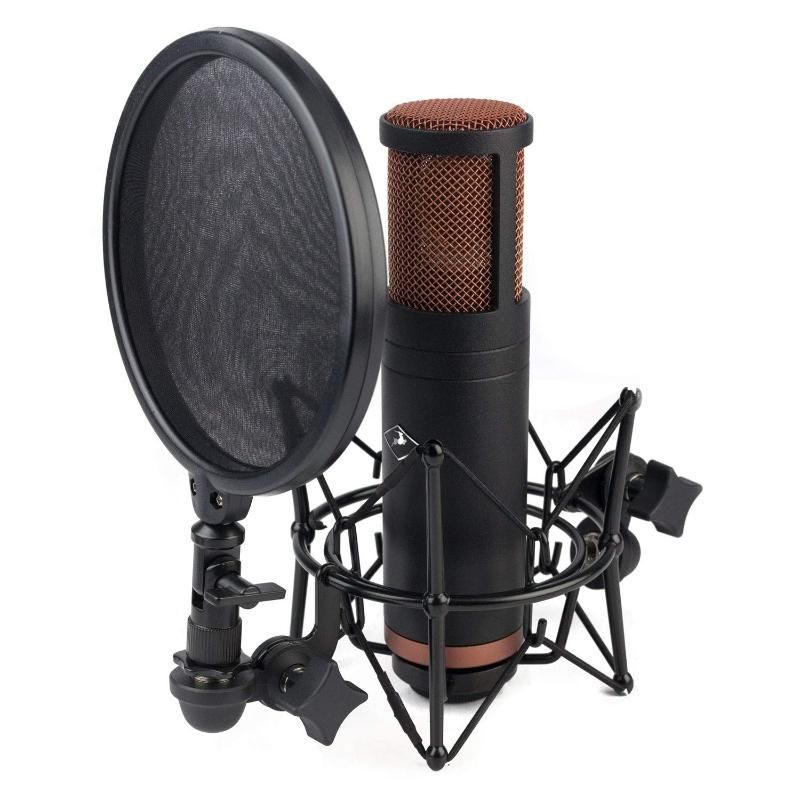Edge Duo. Antelope Audio Microphone. Antelope Audio Edge Duo. Lpa duo mic