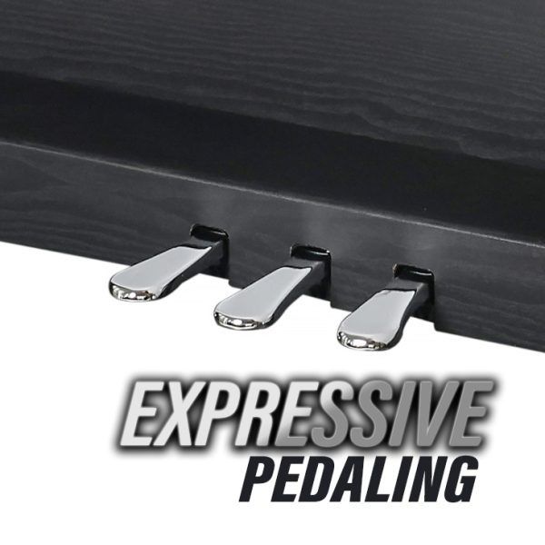 Педалі сустейн : софт : состенуто Педалі сустейн : софт : состенуто