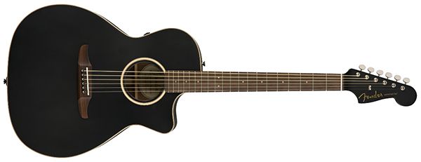 Fender Newporter Special.jpg Fender Newporter Special.jpg