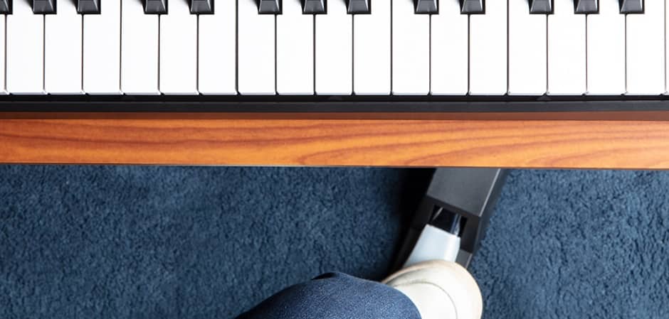 Pedal.jpg