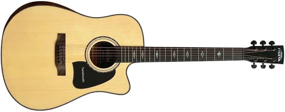 Fiesta FS-46N EQ TransAcoustic.jpg