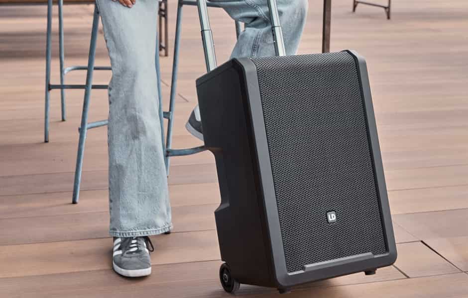 LD Systems ROADMAN 102.jpg