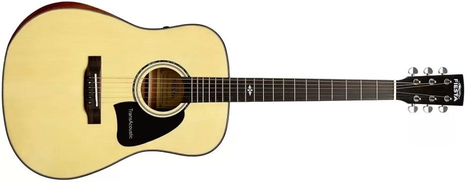 Fiesta FD-60N EQ Transacoustic.jpg