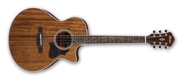 IBANEZ AE245 NT.jpg IBANEZ AE245 NT.jpg