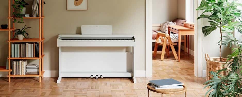 YDP-145WH.jpg