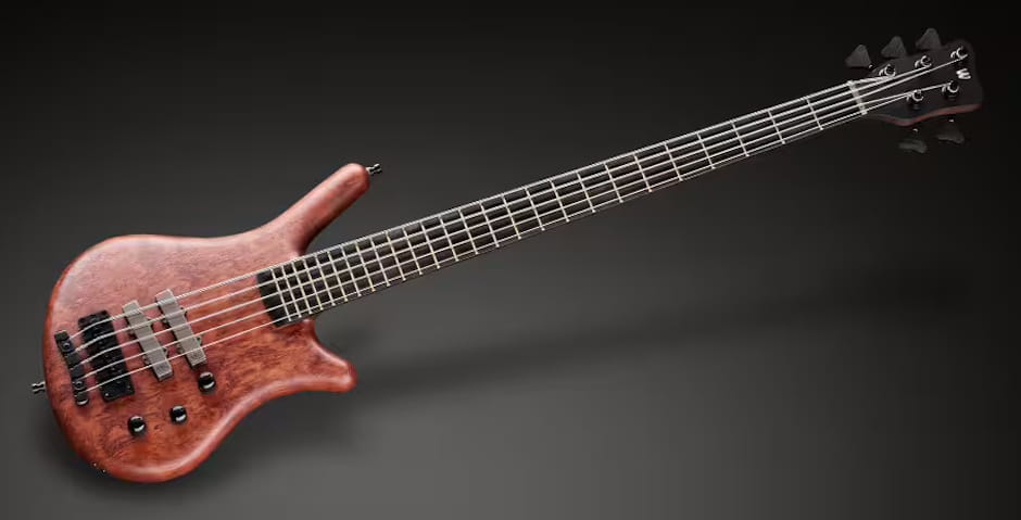 Warwick Thumb NT 5.jpg