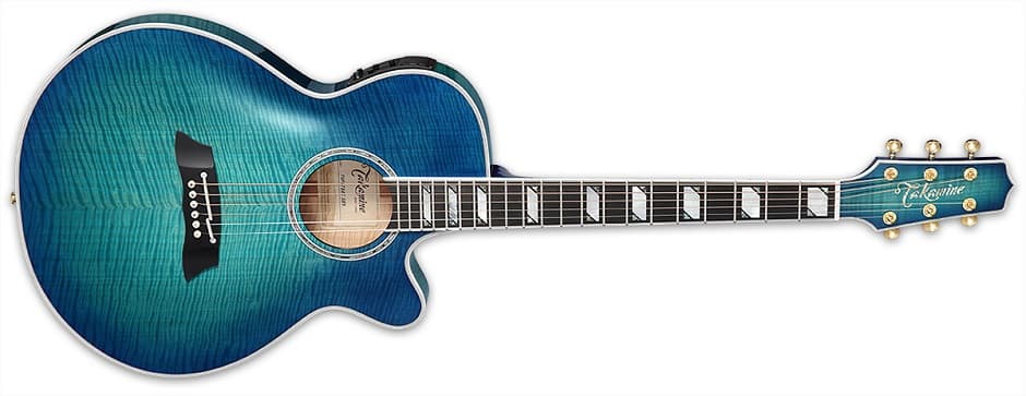 Takamine TSP178AC.jpg Takamine TSP178AC.jpg