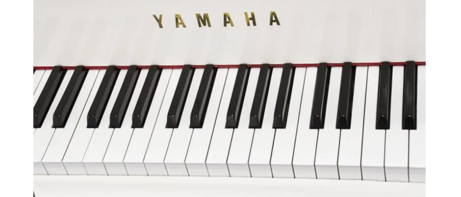 Keyboard.jpg Keyboard.jpg