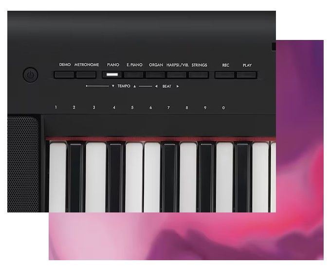 Yamaha NP-15 7.jpg