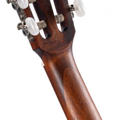 007 CORT AC200.jpg