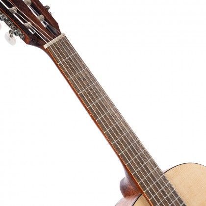 005 CORT AC200.jpg