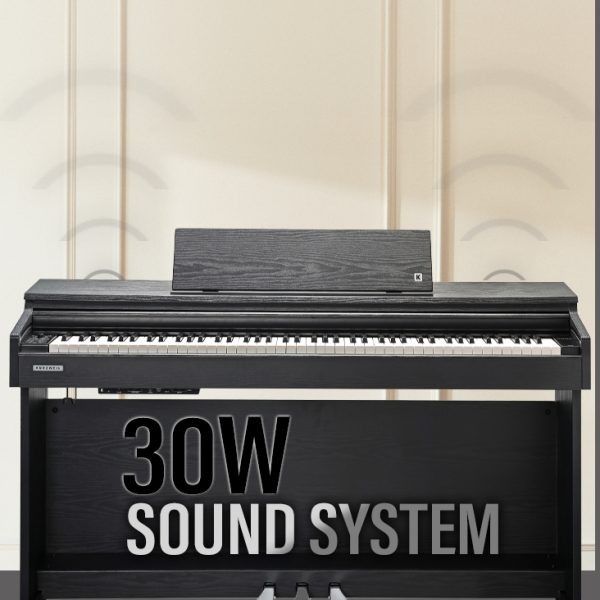 Стереосистема з двох гучномовців на 30 Вт Стереосистема з двох гучномовців на 30 Вт