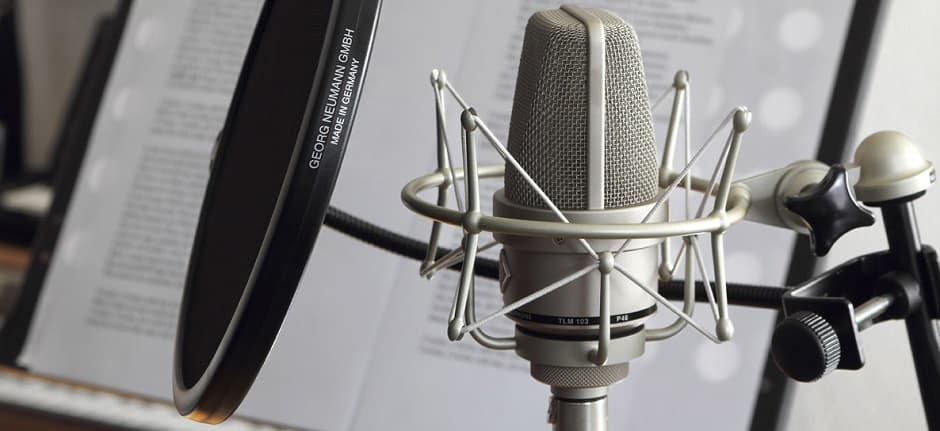 Neumann TLM 103 2.jpg