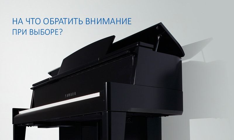 На что обратить внимание при выборе?