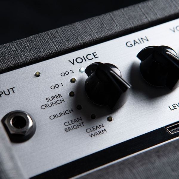 Voice.jpg Voice.jpg