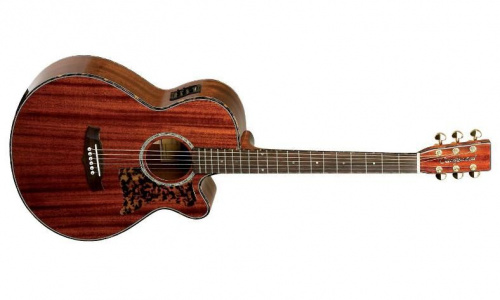 Электроакустическая гитара Tanglewood TW47 E - JCS.UA фото 2