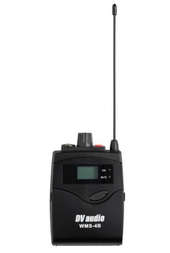 Радіосистема DV audio WMS-24B з петличными мікрофонами - JCS.UA фото 4
