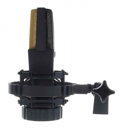 Комплект микрофонов AKG C414 XLII MATCHED PAIR - JCS.UA фото 10