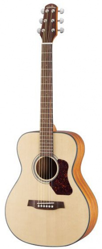 Акустическая гитара Walden T550 - JCS.UA