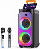 Оборудование для караоке-баров: профессиональный звук для развлечений