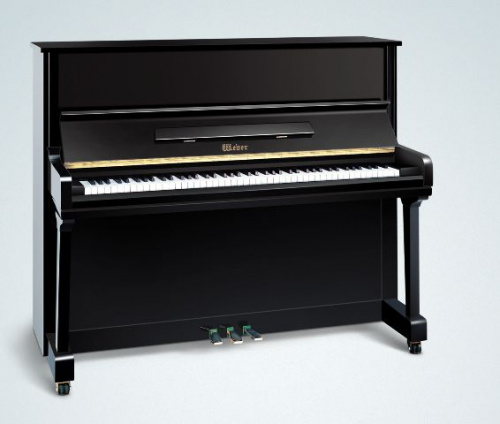 Акустическое фортепиано Albert Weber W131 BP - JCS.UA