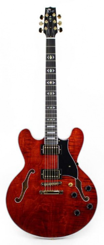 Напівакустична гітара HERITAGE H555 TR WR W SETH'S - JCS.UA