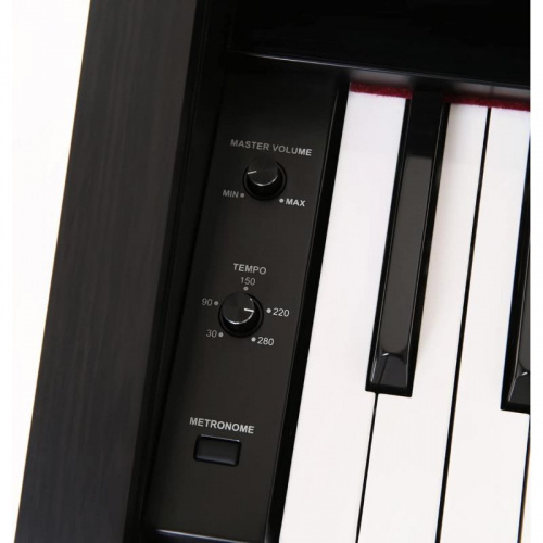 Цифровое пианино The ONE PLAY (Black) - JCS.UA фото 3