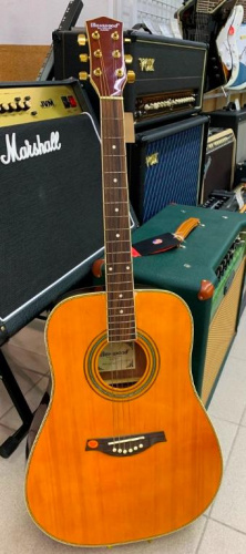 Акустическая гитара MAXWOOD MD-6661 - JCS.UA