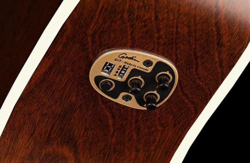 Классическая гитара LA PATRIE 046560 - Presentation QIT - JCS.UA фото 3