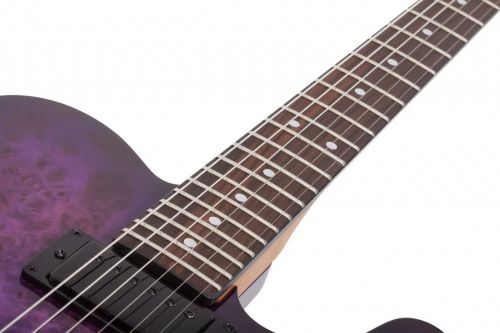 Электрогитара SCHECTER PT STANDARD Purple Burst Burl - JCS.UA фото 9 Электрогитара SCHECTER PT STANDARD Purple Burst Burl - JCS.UA фото 9