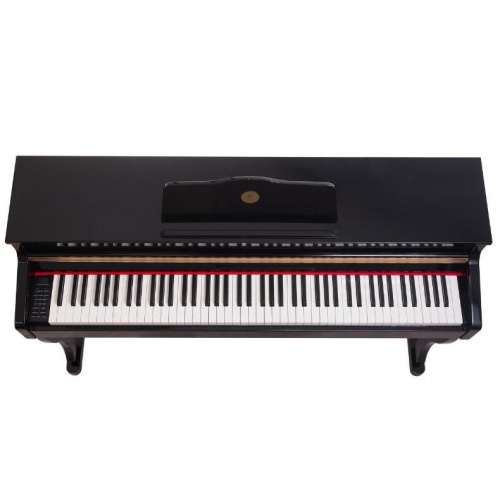 Цифровое пианино Alfabeto Maestro (Black) BK - JCS.UA фото 2