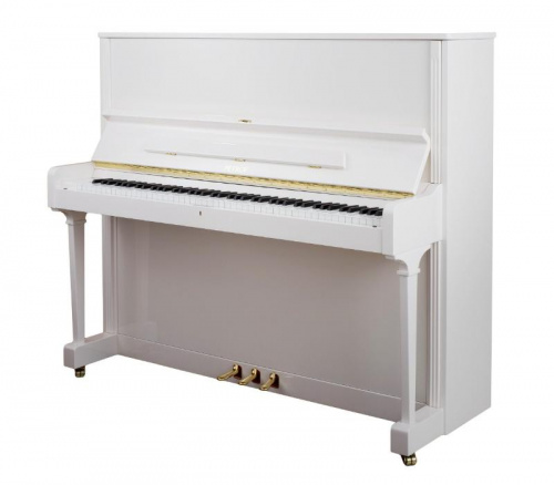 Акустическое фортепиано Petrof P125G1-0051 - JCS.UA