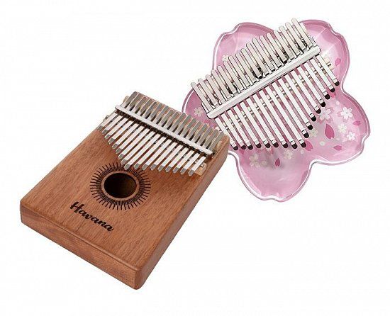 Калімба: модний інструмент з TikTok - як вибрати якісну модель