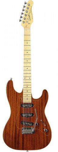 Електрогітара Godin 031 061 - PASSION RG3 Natural Mahogany MN with Tour Case - JCS.UA