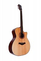 Акустическая гитара Alfabeto SOLID AMS40 ST + чехол (bag) - JCS.UA