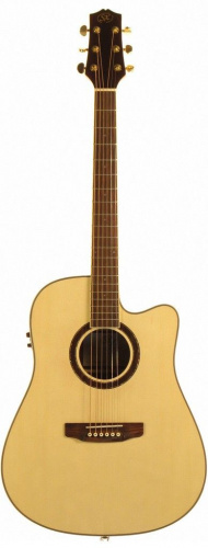 Электроакустическая гитара SX DG200CE+/NA - JCS.UA