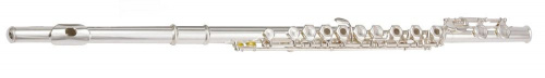 Флейта MAXTONE TFC53S (TFC48S) - JCS.UA