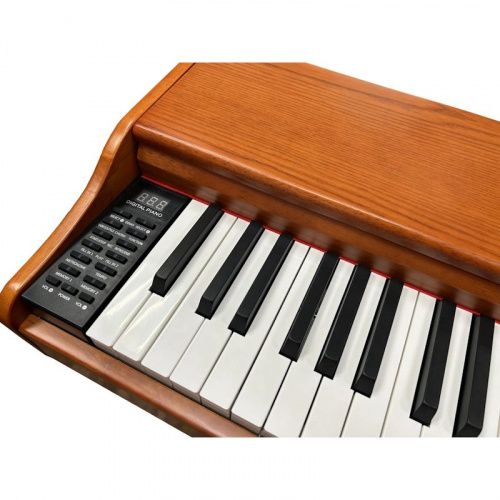 Цифровое пианино Alfabeto Animato Assai Limited Edition - JCS.UA фото 2