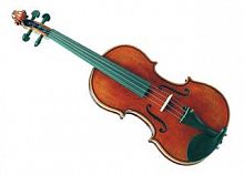 Скрипка GLIGA Violin3/4Gama II - JCS.UA