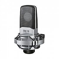 Конденсаторный микрофон для записи Takstar SM-18-EL - JCS.UA