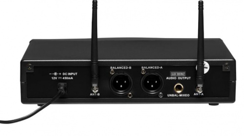Радиосистема DV audio MGX-24B с петличными микрофонами - JCS.UA фото 2