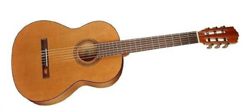 Классическая гитара Salvador Cortez CC-06 - JCS.UA фото 2