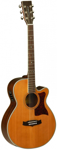 Електроакустична гітара Tanglewood TW45 NS E - JCS.UA