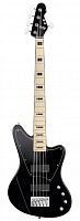 Бас-гитара ESP E-II GB-5 (Black) - JCS.UA