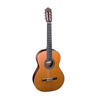 Классическая гитара Almansa 401 - JCS.UA