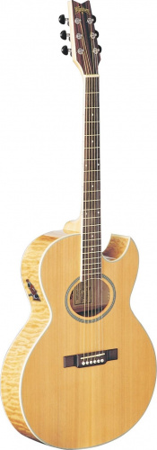 Электроакустическая гитара Washburn EA20 SDL - JCS.UA