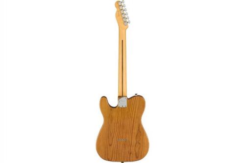 Электрогитара FENDER AMERICAN PRO II TELECASTER MN ROASTED PINE - JCS.UA фото 2