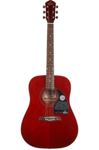 Акустическая гитара Washburn OG2TR - JCS.UA